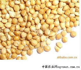 陽(yáng)原縣金弟農(nóng)副產(chǎn)品有限責(zé)任公司 農(nóng)副產(chǎn)品銷(xiāo)售的典范與創(chuàng)新