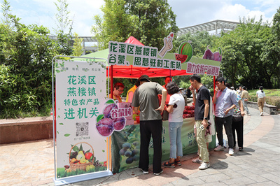 花溪區(qū)燕樓鎮(zhèn)谷蒙村 駐村工作隊(duì)變身“推銷員”，打通農(nóng)產(chǎn)品銷售最后一公里